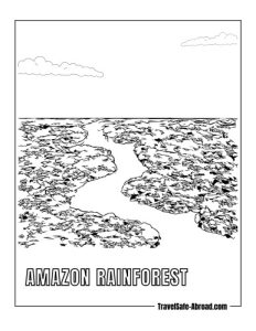 Amazon Rainforest: Experience the incredible biodiversity of the Amazon rainforest by taking a guided tour from Leticia, including wildlife spotting and indigenous culture.