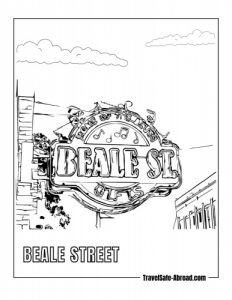 Beale Street: In Memphis, it is a historic street renowned for its live music venues, vibrant nightlife, and significant role in the development of blues music.