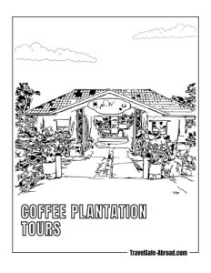 Coffee Plantation Tours: Learn about Costa Rica's renowned coffee production by visiting one of the many coffee plantations, like Doka Estate or Café Britt.