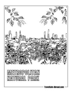 Metropolitan Natural Park: A lush green oasis in the heart of Panama City, perfect for hiking, birdwatching, and enjoying panoramic views of the city.