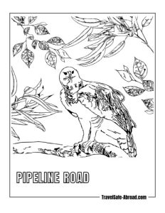 Pipeline Road: A renowned birdwatching destination in Soberanía National Park, home to hundreds of bird species, including the harpy eagle.