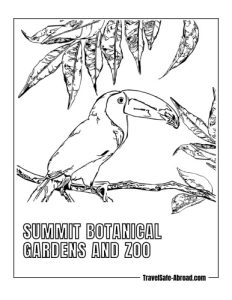 Summit Botanical Gardens and Zoo: Explore this well-maintained facility to see a variety of animals and lush gardens featuring native plants.