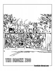 The Bronx Zoo: This world-renowned zoo is home to over 6,000 animals and offers a fun and educational experience.