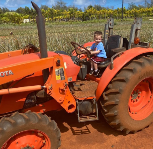 Sugarloaf Pineapple Farm