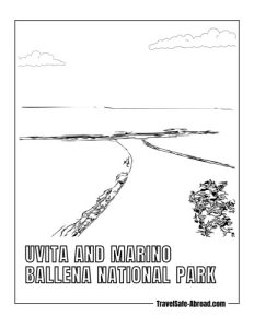 Uvita and Marino Ballena National Park: Witness the famous "Whale's Tail" sandbar and go whale watching in this coastal paradise.