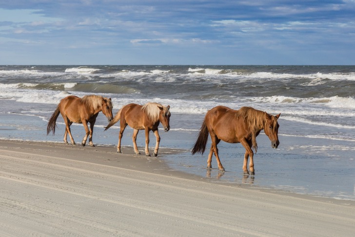 Outer Banks