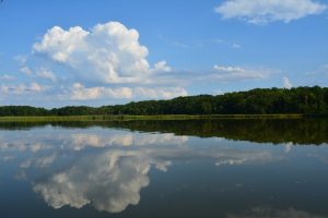 Chesapeake Bay