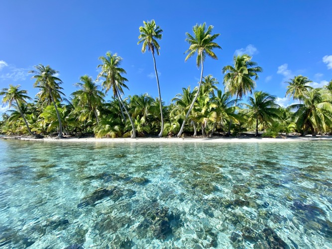 Fiji