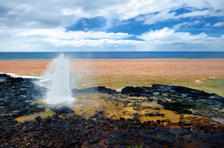 The Spouting Horn