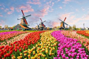 The Netherlands