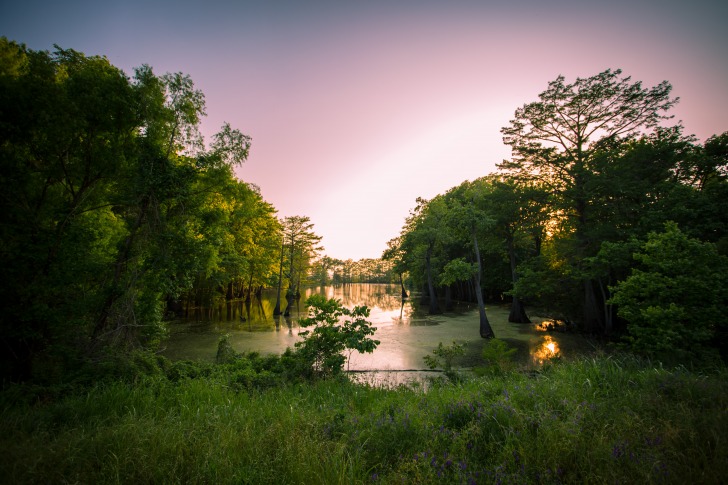 The Mississippi River