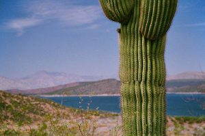 Lake Havasu, AZ