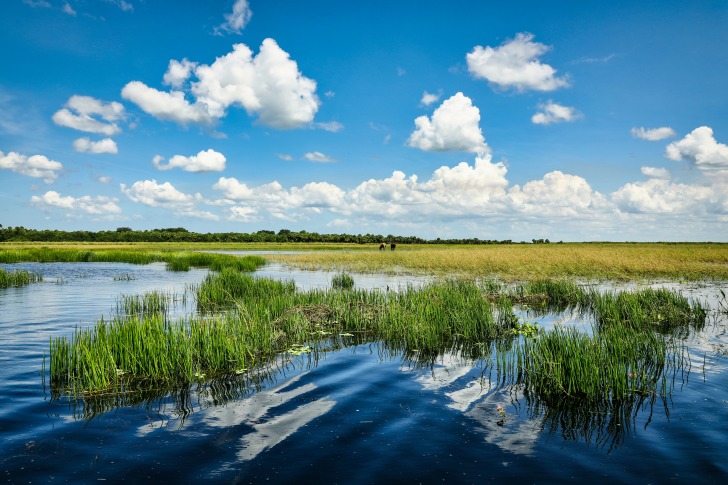 St. Johns River 